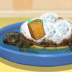 game Pet Turtle Bathing